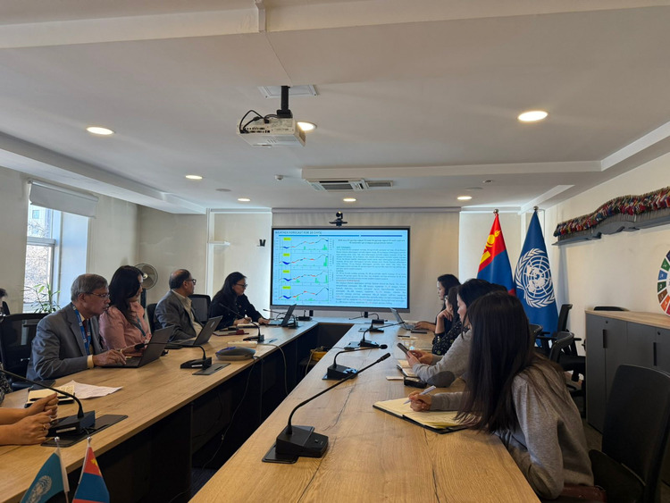 Хүмүүнлэгийн тусламжийн багийн хүрээнд цаашид авч хэрэгжүүлэх арга хэмжээний талаар хэлэлцлээ